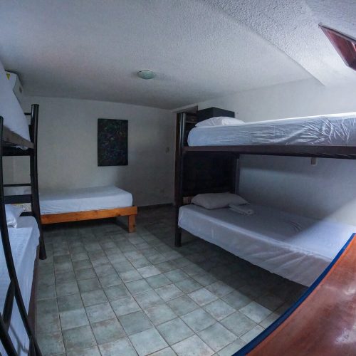 izsla-experience-hostel